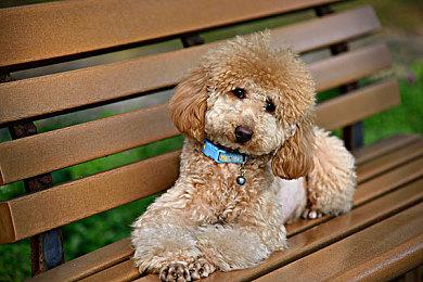 先行测试 Xbox云游戏将添加键盘鼠标支持